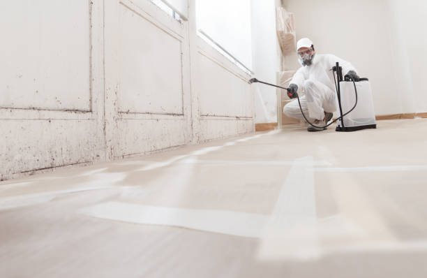 24/7 Emergency Basement Mold Remediation experts in Somerset, MD